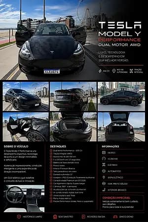 Tesla Model Y Performance