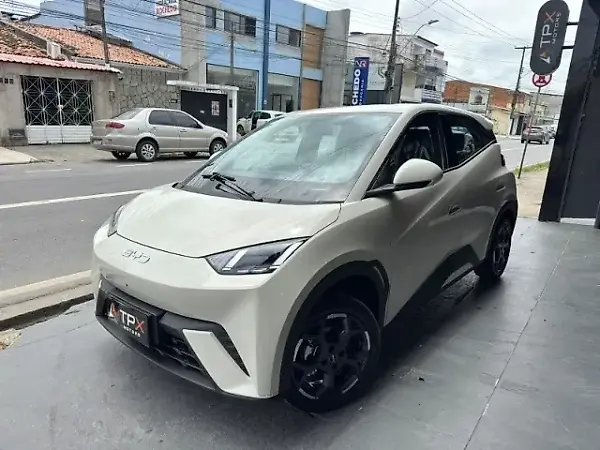 BYD Dolphin GS